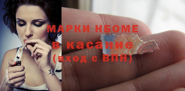 шишки Алексин