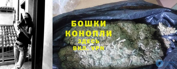 PSILOCYBIN Алзамай