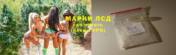PSILOCYBIN Алзамай